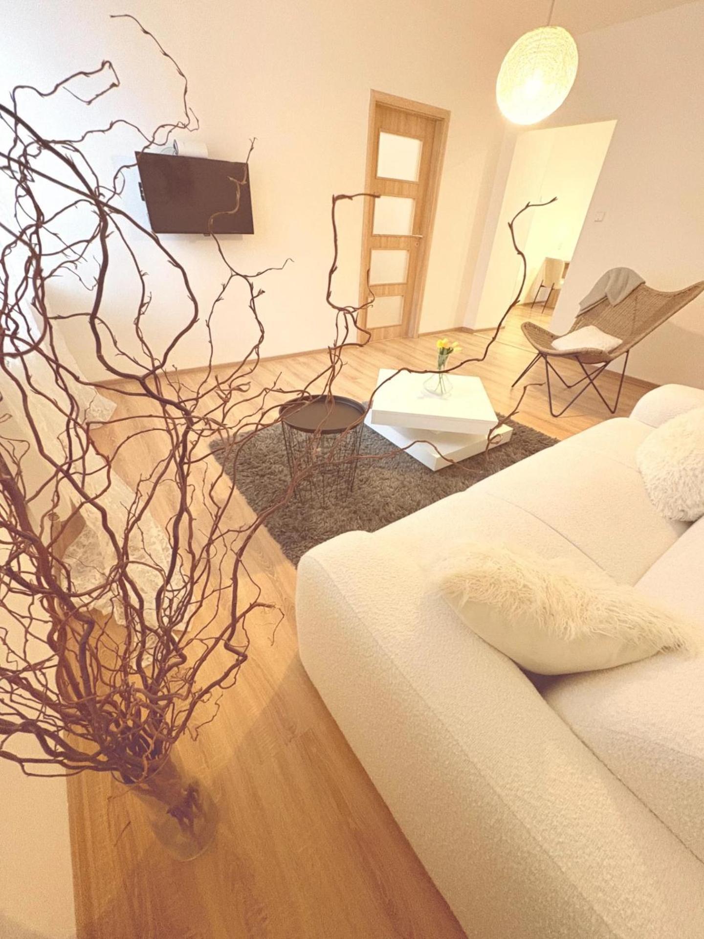אוסטרבה Trio Apartments מראה חיצוני תמונה